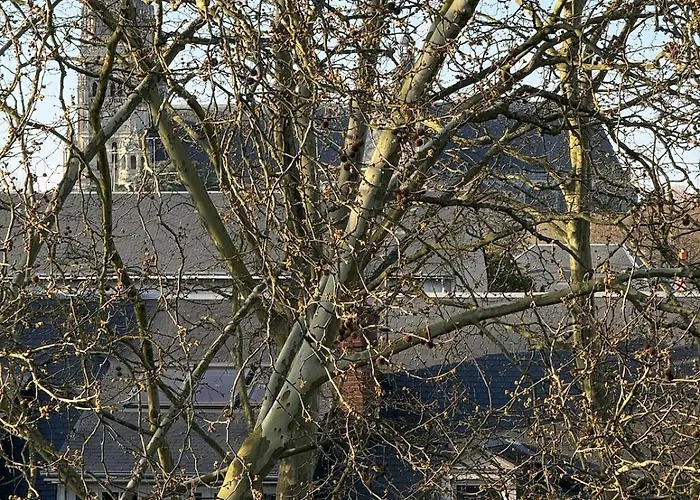 Lumineux Avec Balcon Proche De La Gare Apartamento Tours